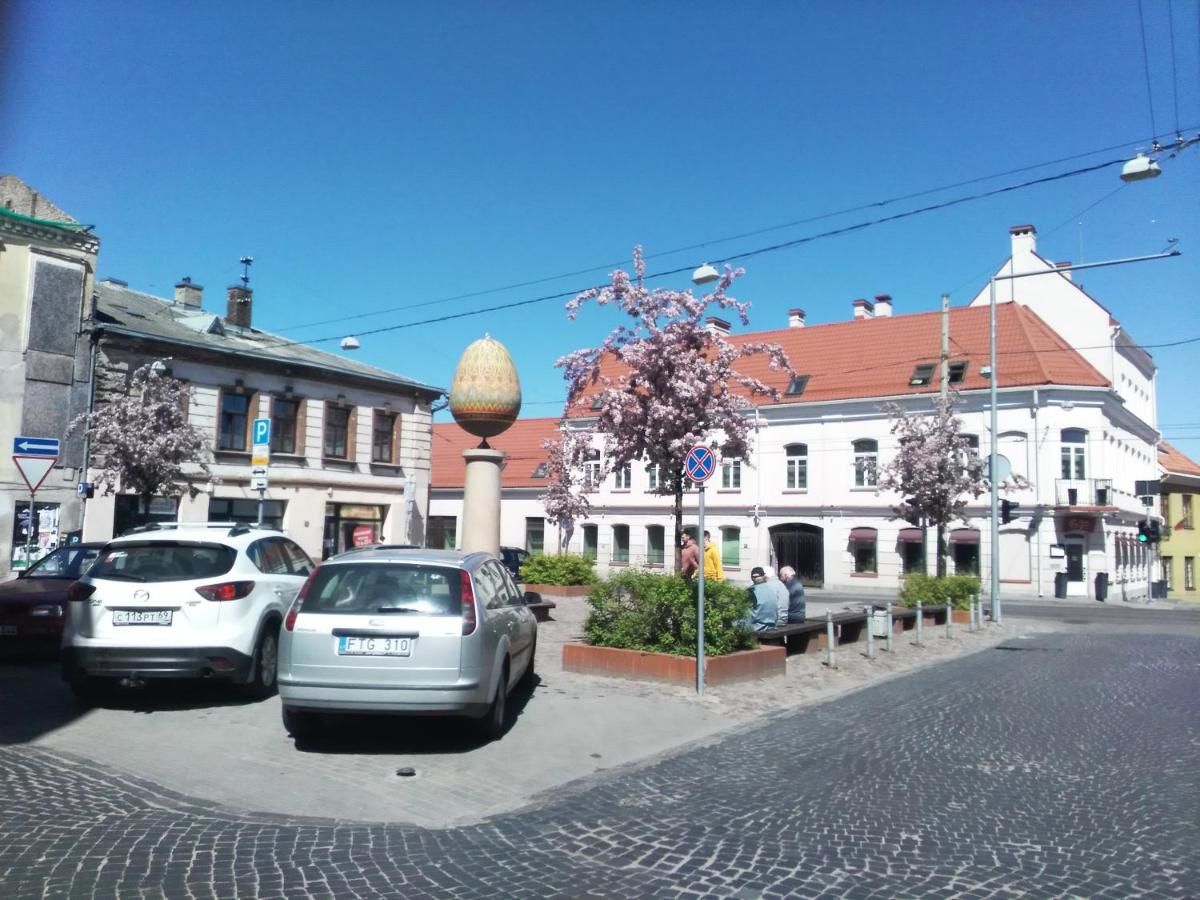 Апартаменты Like Home Apartments-Stepono - 3 entire flats Вильнюс
